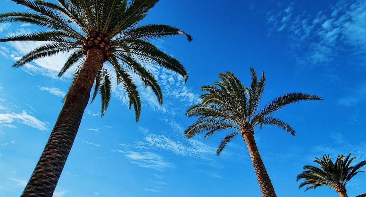 לוס ריאלחוס Maresia Village מראה חיצוני תמונה